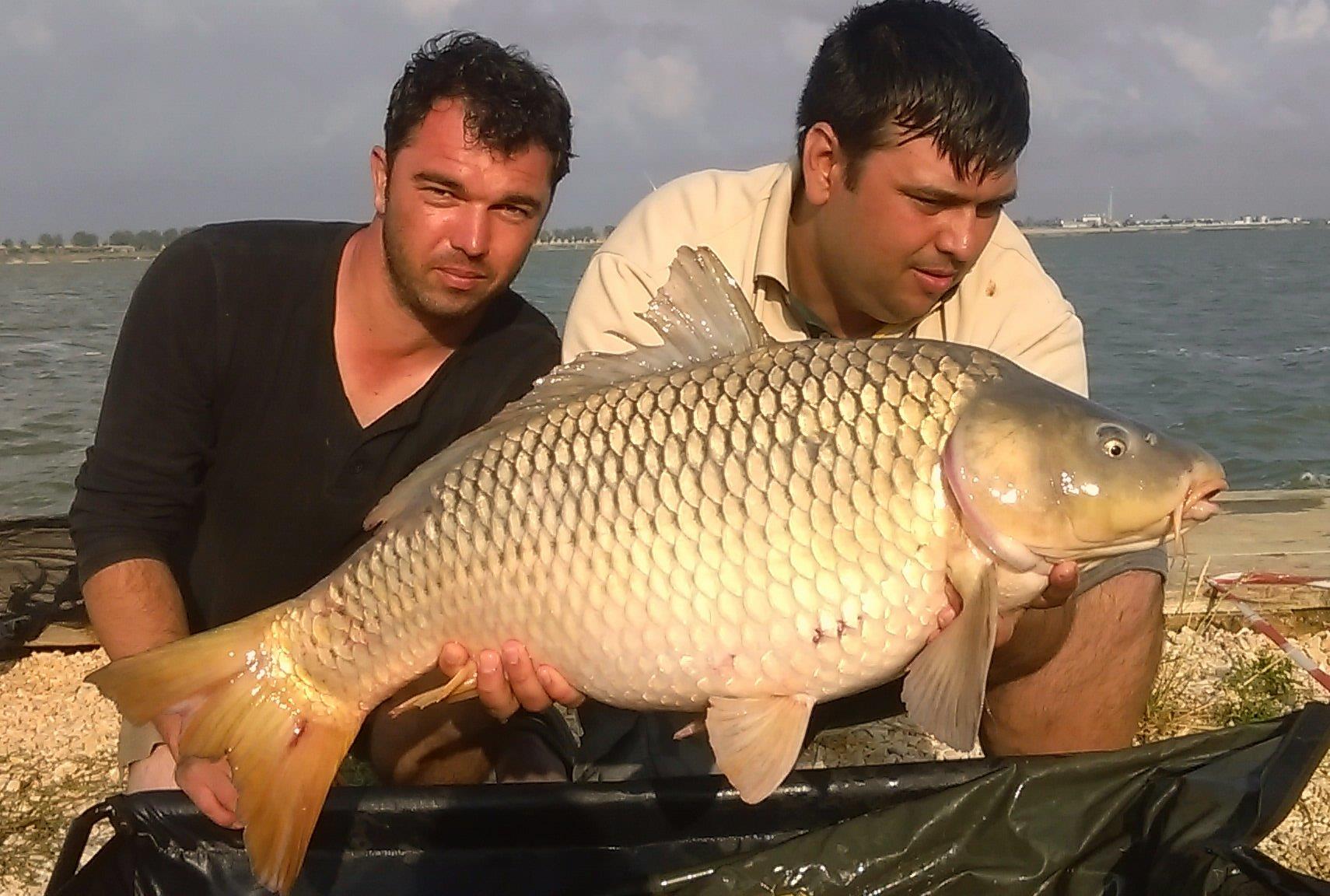 Corbu 3 - 5 iulie 2015 - 2.jpg